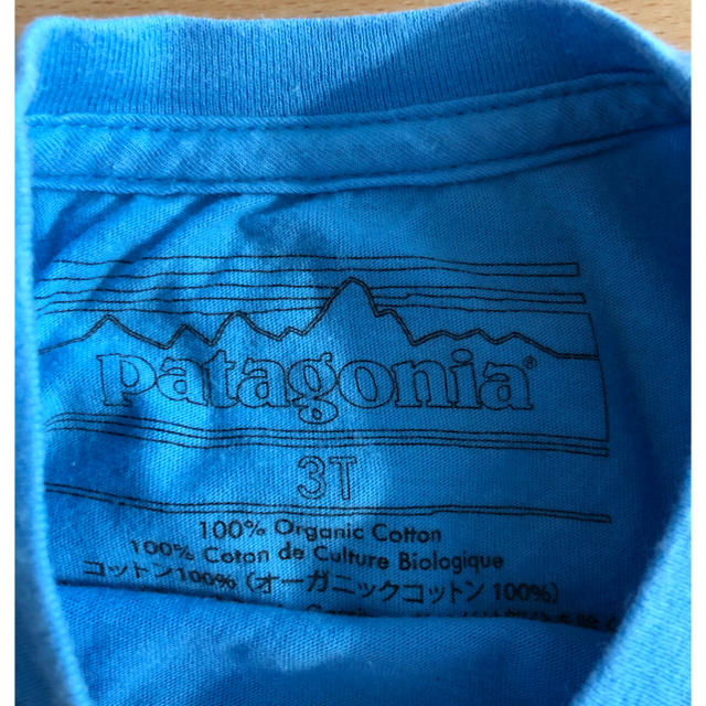patagonia(パタゴニア)のパタゴニア　キッズ　patagonia kids ロゴ  tシャツ 3T  キッズ/ベビー/マタニティのキッズ服男の子用(90cm~)(Tシャツ/カットソー)の商品写真