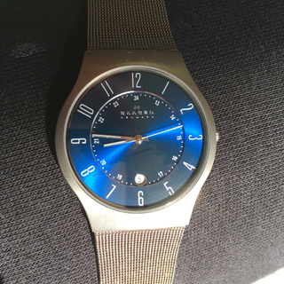 スカーゲン(SKAGEN)のスカーゲン 腕時計 チタン 233XLTTN SKAGEN (腕時計(アナログ))