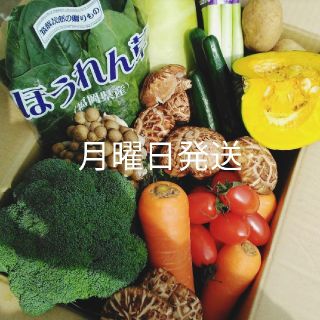 美味しい九州産✨70〜80サイズ春野菜8種類詰め合わせセット(野菜)