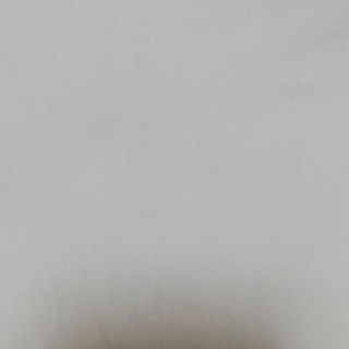 ベルリンの壁様専用(その他)