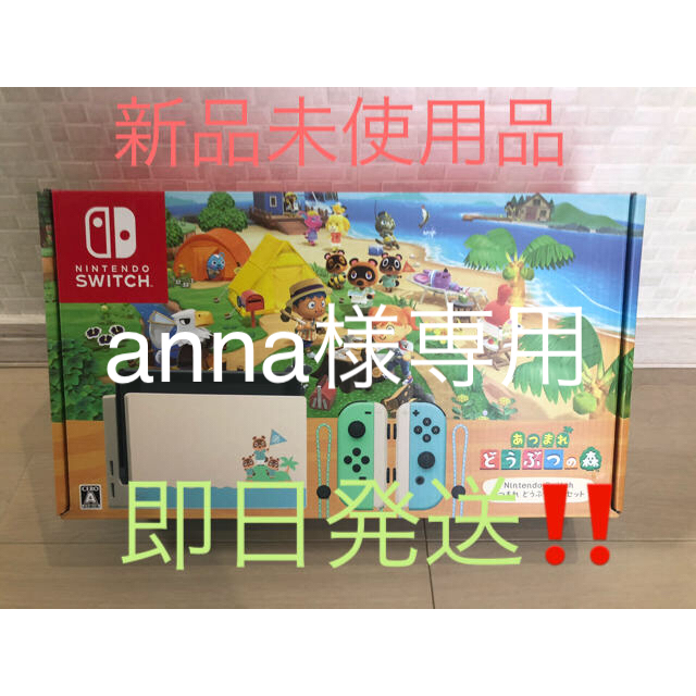 Nintendo Switch あつまれ どうぶつの森セット/Switch/HA