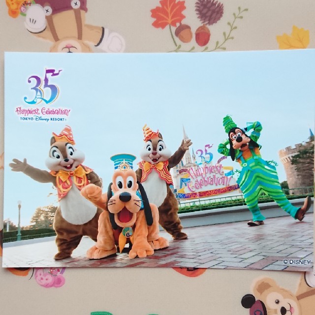 Disney(ディズニー)の35周年チデグプル スペシャルフォト エンタメ/ホビーのおもちゃ/ぬいぐるみ(キャラクターグッズ)の商品写真