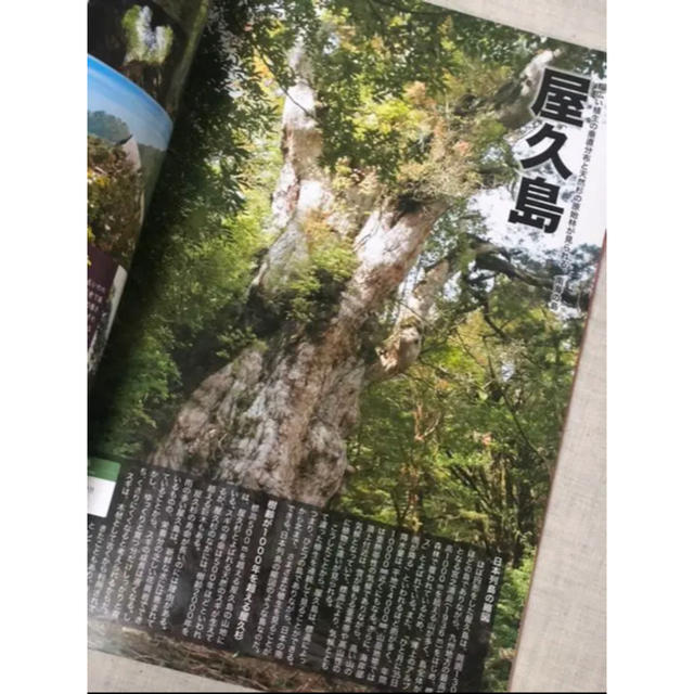 旅地図日本 旅ネタ満載!ビジュアルマップ エンタメ/ホビーの本(地図/旅行ガイド)の商品写真