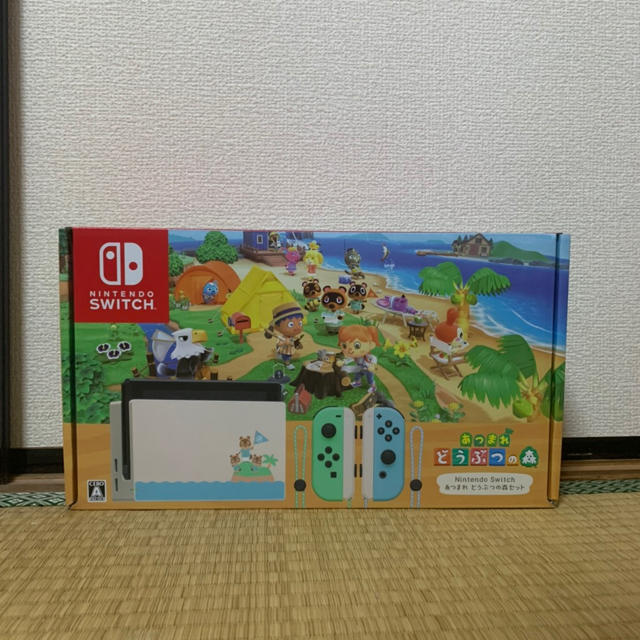 Nintendo Switch あつまれどうぶつの森　セット 【値下げ不可】