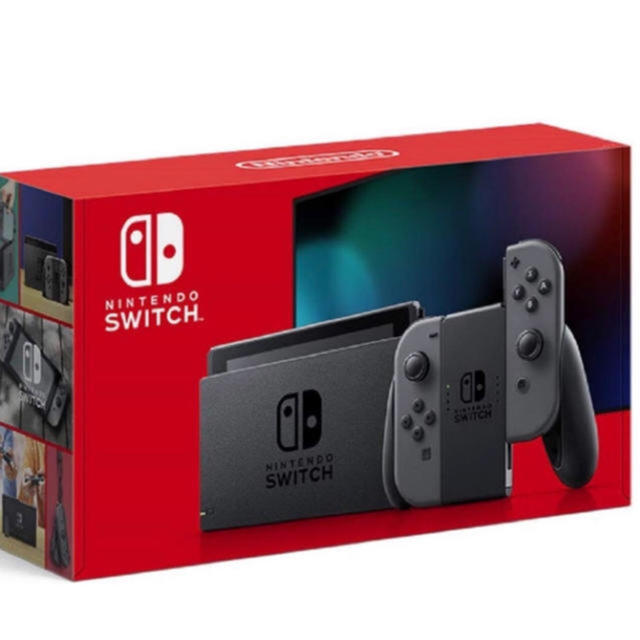 Nintendo Switch 新品・未使用！グレー付属品