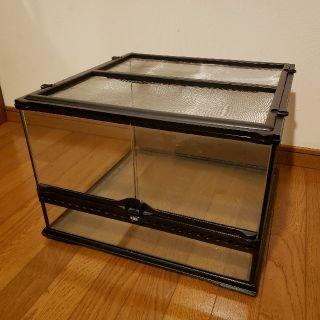 エキゾテラ グラステラリウム 45×45×30(爬虫類/両生類用品)