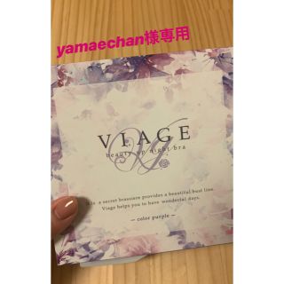 VIAGE ナイトブラ　パープル　smサイズ(ブラ)