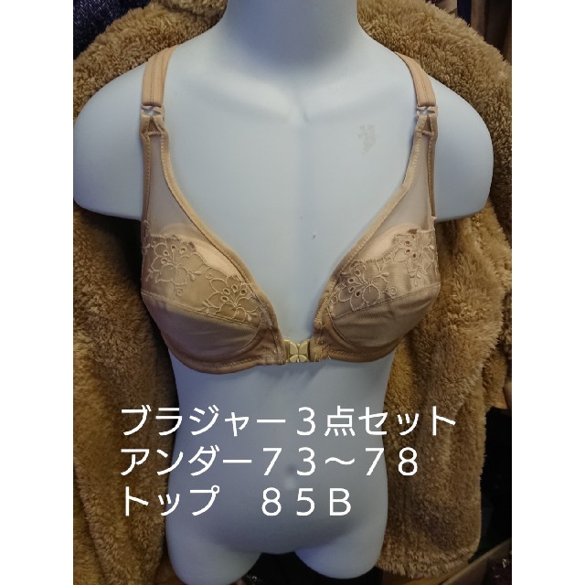 ブラジャー ベージュ ３点

アンダー ７３～７８cm
トップ ８５Ｂ

 レディースの下着/アンダーウェア(ブラ)の商品写真