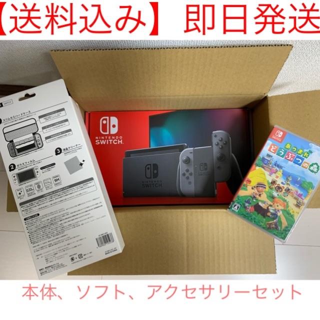 Nintendo Switch グレー本体 どうぶつの森