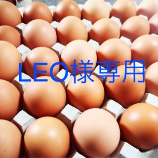 LEO様専用　平飼いたまご10個入り8パック✴︎(野菜)