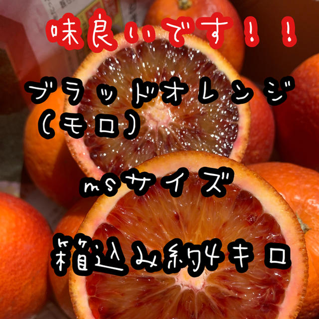 愛媛県産　ブラッドオレンジ　モロ　柑橘　15kg