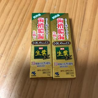 コバヤシセイヤク(小林製薬)の生葉EX 試供品　10gx2本セット(歯磨き粉)