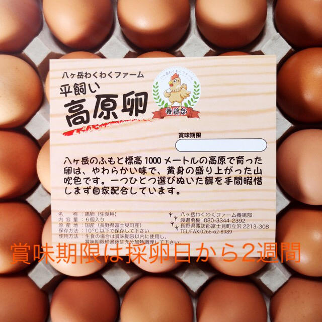 LEO様専用　平飼いたまご　✴︎高原卵10個入り8パック✴︎ 食品/飲料/酒の食品(野菜)の商品写真
