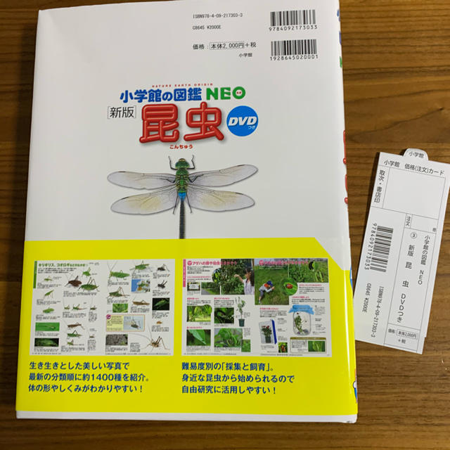 昆虫 新版 小学館の図鑑 NEO エンタメ/ホビーの本(絵本/児童書)の商品写真