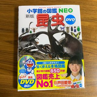 昆虫 新版 小学館の図鑑 NEO(絵本/児童書)