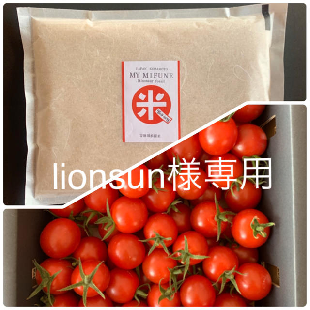 lionsun様専用　キャロルセブン3kg    白米450g 食品/飲料/酒の食品(米/穀物)の商品写真