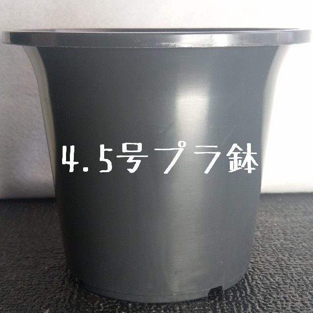 ◎1個◎ 4.5号 / 4.5寸 / 12.5cm 丸鉢 プラ鉢 黒 ブラック ハンドメイドのフラワー/ガーデン(その他)の商品写真