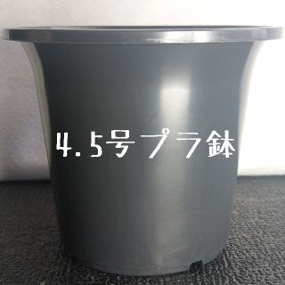 ◎1個◎ 4.5号 / 4.5寸 / 12.5cm 丸鉢 プラ鉢 黒 ブラック(その他)