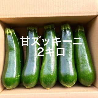 【鹿児島産】甘塩ズッキーニ2キロ^_^(野菜)