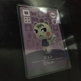 ニンテンドウ(任天堂)のamiiboカード ジュン(その他)