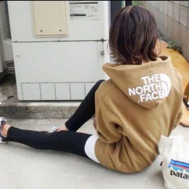 大人気!! THE NORTH FACE リアビューフーディーパーカー Ｌトップス