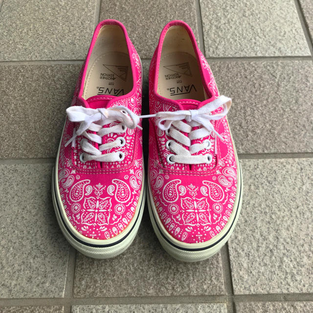 VANS(ヴァンズ)のvans スニーカー レディースの靴/シューズ(スニーカー)の商品写真