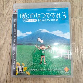 ソニー(SONY)のぼくのなつやすみ3 －北国篇－ 小さなボクの大草原 PS3(家庭用ゲームソフト)