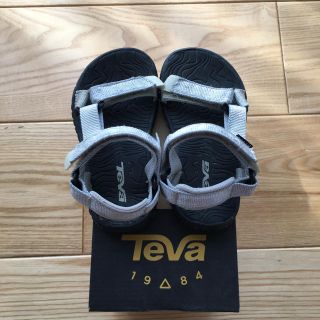 テバ(Teva)のteva15センチ(サンダル)