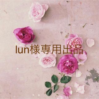 lun様専用(その他)