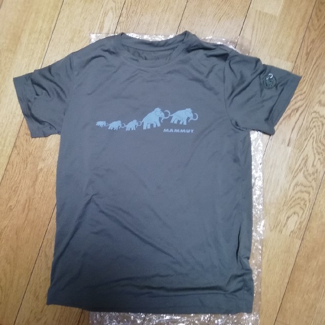 Mammut(マムート)のマムート　Tシャツ　TEE メンズのトップス(Tシャツ/カットソー(半袖/袖なし))の商品写真