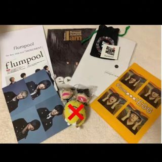 flumpool パンフ かずき人形 美品 ファンクラブツアー限定品(ミュージシャン)