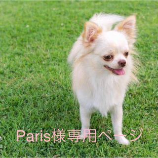 ロイヤルカナン(ROYAL CANIN)のParis様専用ページ(ペットフード)