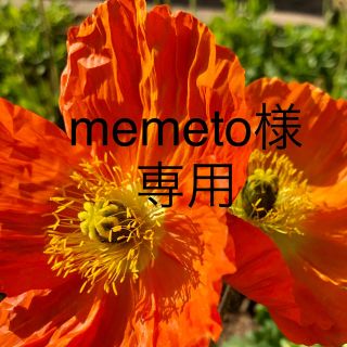 memeto様専用(その他)