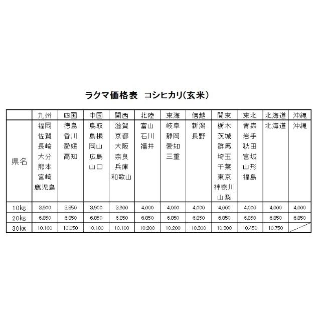 あおやん様専用  お米 令和元年　愛媛県産コシヒカリ　玄米　30㎏ 食品/飲料/酒の食品(米/穀物)の商品写真