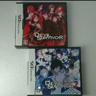 ニンテンドーDS(ニンテンドーDS)のDSソフト 2本セット(携帯用ゲームソフト)