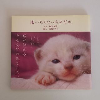 逢いたくなっちゃだめ(文学/小説)