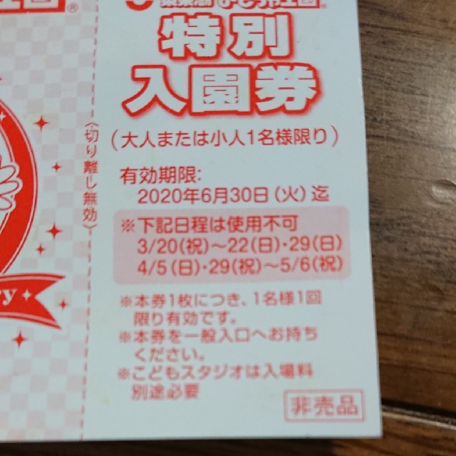 東条湖おもちゃ王国 6枚 チケットの施設利用券(遊園地/テーマパーク)の商品写真
