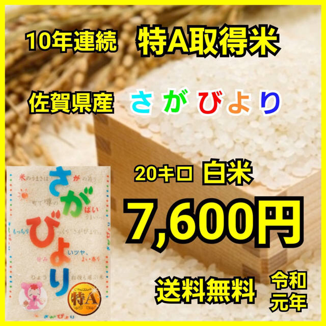 さがびより　即日発送】佐賀県産　白米20kg　10年連続特A米　米/穀物