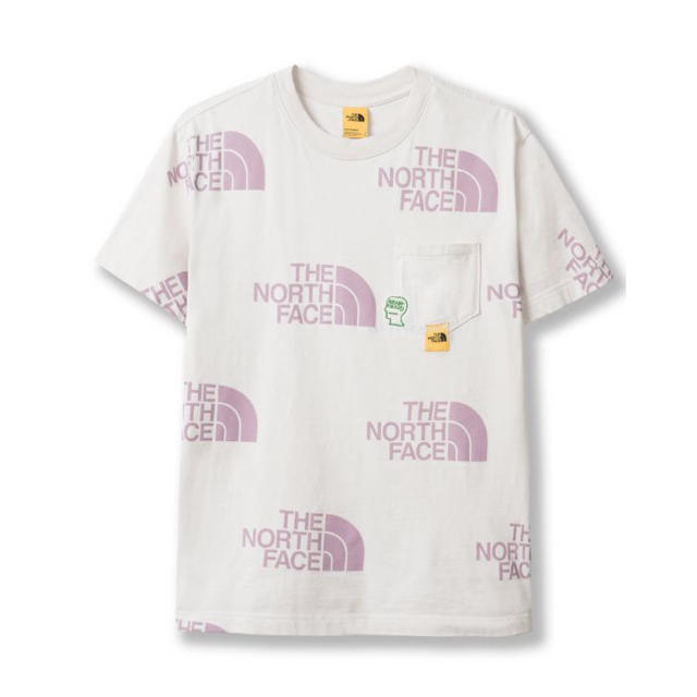 THE NORTH FACE BRAIN DEAD POCKET Tシャツ L