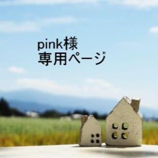 「pink様 専用ページ」(エクササイズ用品)