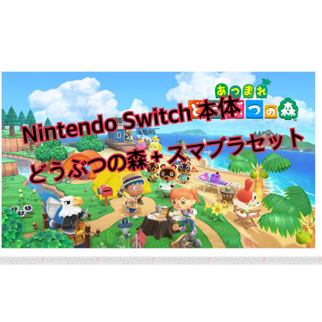 Nintendo Switch 本体 どうぶつの森 スマブラ