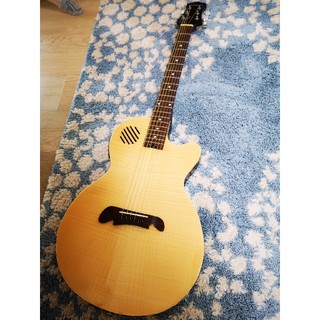 [値下げ]PLAYTECH EA600 エレアコ(アコースティックギター)