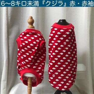 MD 6〜8キロ未満『クジラ・赤』赤袖　メルロコ　犬服(ペット服/アクセサリー)