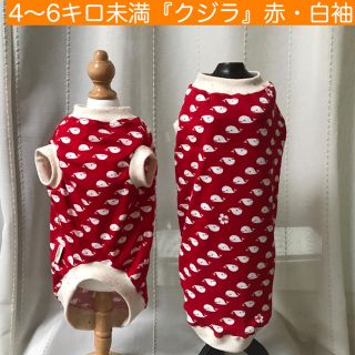 MD 4〜 6キロ未満『クジラ・赤』白袖　メルロコ　犬服(ペット服/アクセサリー)