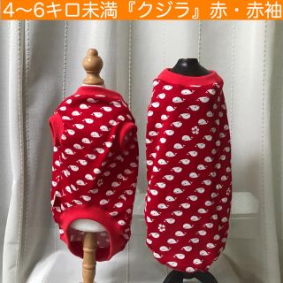 MD 4〜 6キロ未満『クジラ・赤』赤袖　メルロコ　犬服(ペット服/アクセサリー)