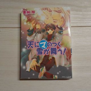 天にマのつく雪が舞う！(文学/小説)