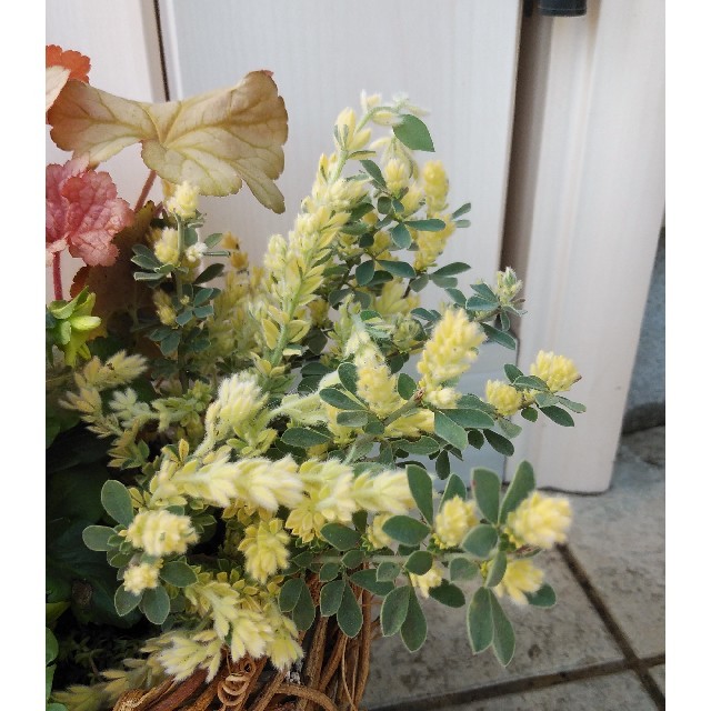 まぁるい籠の鉢植え ハンドメイドのフラワー/ガーデン(プランター)の商品写真
