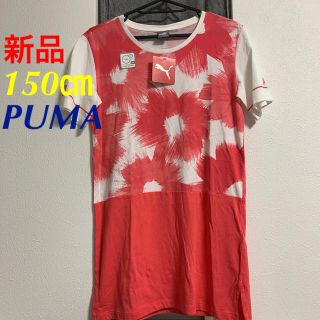 プーマ(PUMA)のPUMAプーマ トレーニングウェア 半袖 ロングTシャツ 852201 150㎝(Tシャツ/カットソー)