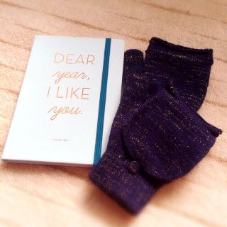 My little box＊手帳&手袋(手袋)