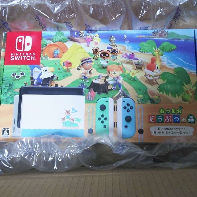 NintendoSwitch あつまれどうぶつの森セット